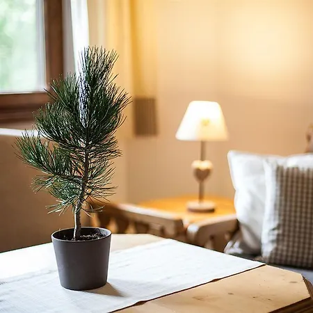 Hotel Residenz Anger Alm - Adults Only 3*