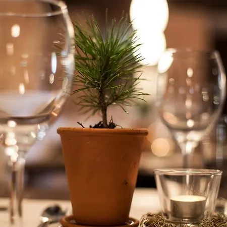 Residenz Anger Alm - Adults Only